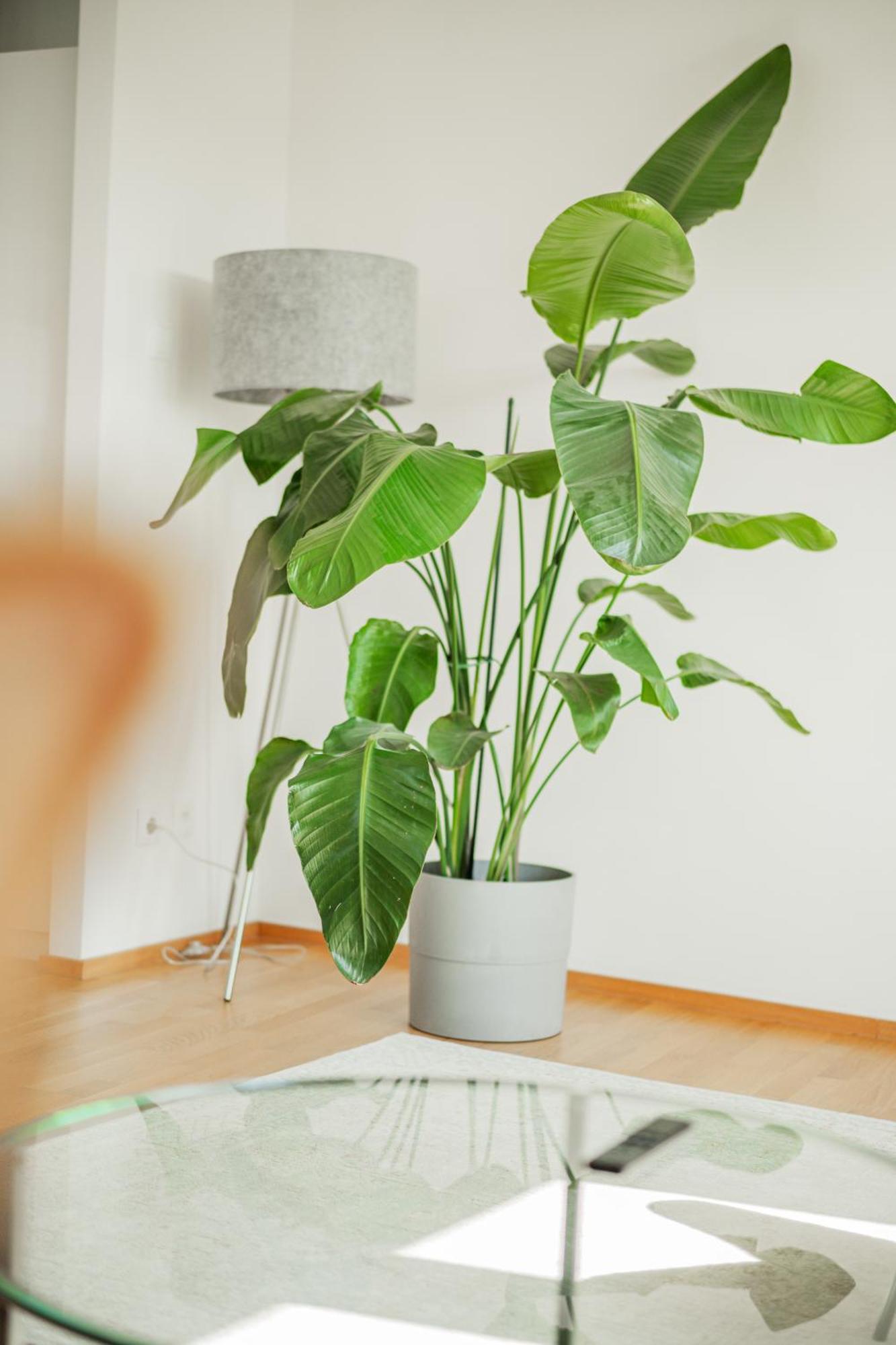 Central 60M2 Suite 10 Min Walk From Main Station Βιέννη Εξωτερικό φωτογραφία